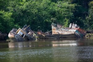 Rusting, abandoned fishing boats lie in a lush, overgrown harbor, telling tales of the past.