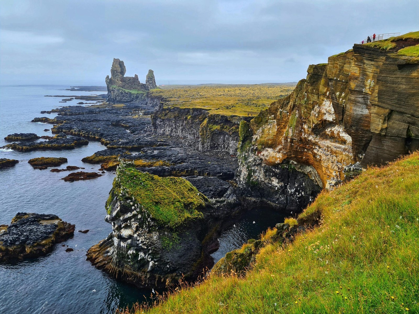 Stunning view of rocky Icelandic coastal cliffs and the sea under an overcast sky, ideal for nature lovers.